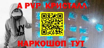 тгк Новодвинск