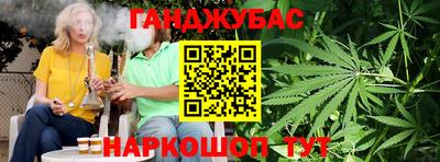 тгк Новодвинск