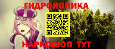 наркотики Новозыбков