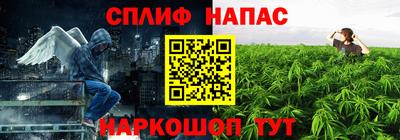тгк Новодвинск