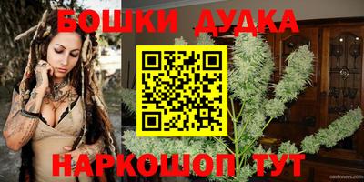 тгк Новодвинск