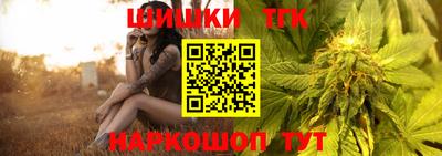 тгк Новодвинск
