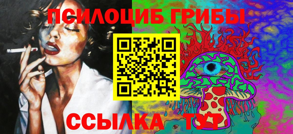 Галлюциногенные грибы Psilocybe  Вход с VPN  Сосновоборск 